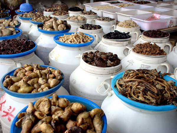 photo of China, the restaurants of Sichuan province serve over 80 different kinds of edible mushrooms, this shop in central Chengdu has a nice selection