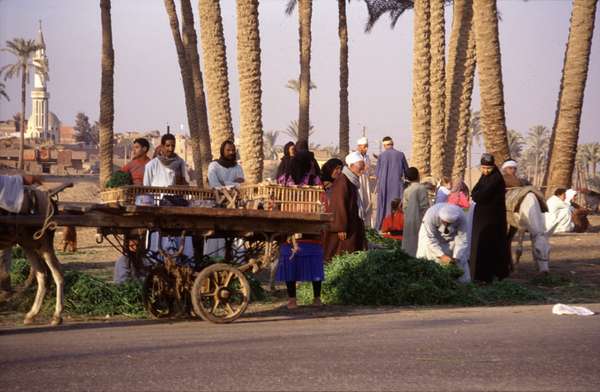 photo of Egypt, around Cairo, rural market