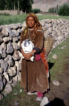 photo of India, Ladakh, farmer woman with milk can in the green fields of the Indus valley around Leh (valley at an altitude of about 3500 m !)