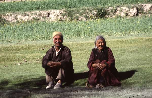 photo of India, Ladakh, around Leh, old couple sitting in the green fields of the Indus valley