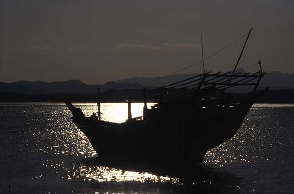 photo of Oman, harbour of Sur at sunset, an Omani Dhow, a traditional Arabic fishing vessel in the Arabian sea