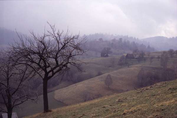 photo of Romania, Carpathians, around Sibiel, countryside hills