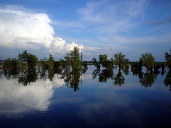 photo of Russia, Siberia, around Tobolsk, trees and clouds reflecting in the Ob river