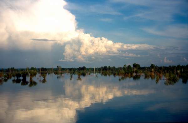 photo of Russia, Siberia, around Tobolsk, trees and clouds reflecting in the Ob river