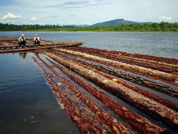 photo of Tuva, on the Yenisey (Yenisei) river between Kyzyl and Toora Chem (Toora-Xem, Toora-Khem), Siberian tree trunks floating on the water