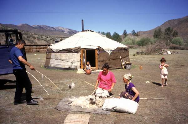 photo of Tuva, south of Kyzyl, around Erzin, around Moren, Tuvan woman beating sheep wool outside her yurt (ger, nomadic tent)