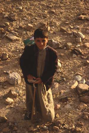 photo of North Yemen, highlands, around Thulla, Yemeni shepherd boy