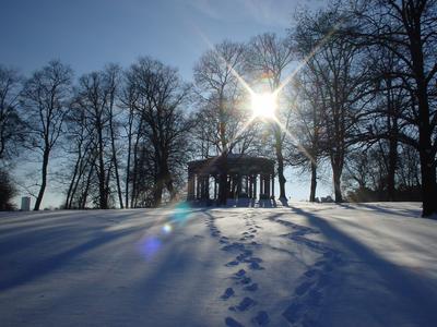 zweden stockholm haga paviljoen in hagaparken in de winter met sneeuw en zon tussen de bomen