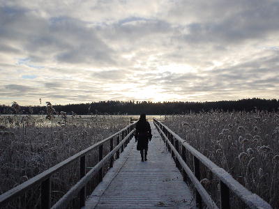 zweden stockholm eilanden archipel aanlegsteiger tussen het bevroren riet van een meer in de winter