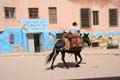 morocco-donkey-driver-5660