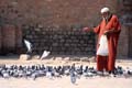 morocco-feeding-birds