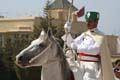 morocco-royal-guards-4249
