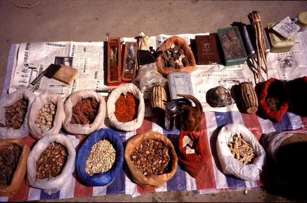 photo of China, Yunnan province, Chinese nature pharmacy on the market of the rural village Weixi