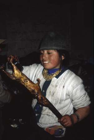 photo of Ecuador, Quilotoa, a Guinea Pig roasted on an open fire, a traditional dish known as cuy, which dates back to pre-Incan times. It has continued to be such a popular meal that in colonial times Indian artisans painted Christ tucking into guinea pig at the Last Supper