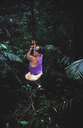 photo of Ecuador, Amazon rain forest, hanging on a liana