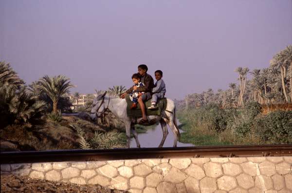 photo of Egypt, around Cairo, 3 children on a donkey crossing a sidearm of the Nile on a railway bridge