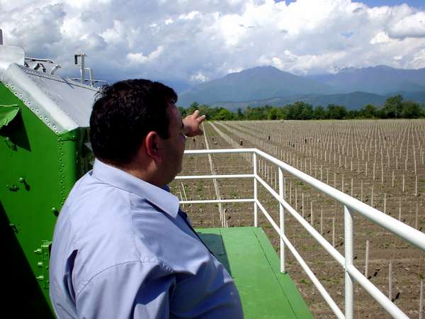 photo of Republic of Georgia, Kakheti province, Kvareli, overlooking wine fields with behind the Caucasus mountains which make the border with Dagestan (in Russia)