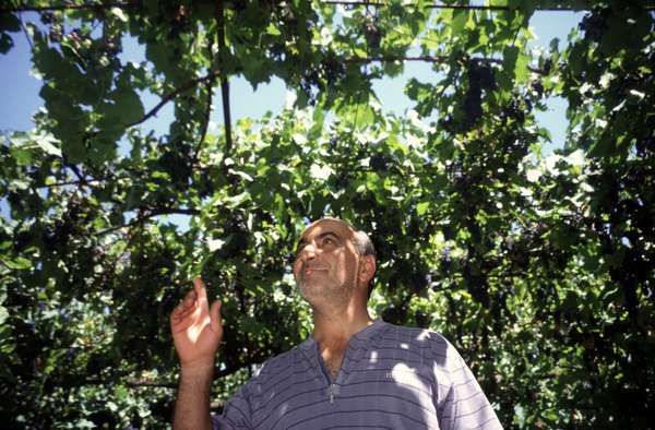 photo of Republic of Georgia, Georgian happily covered by his grapevine