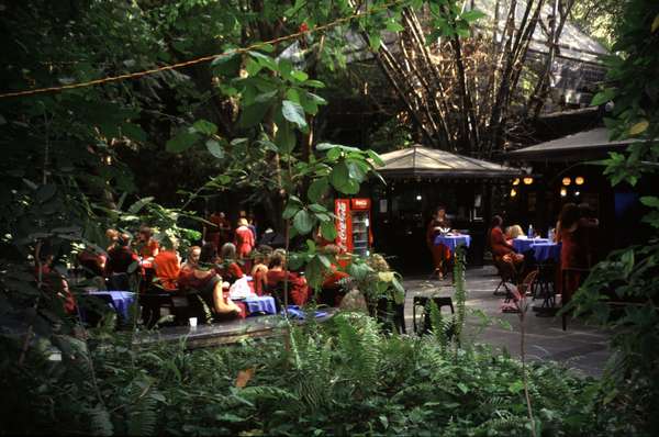 photo of India, Puna (Pune), sannyasins in maroon robes inside the garden of the Osho Meditation Centre, the new name the Community Centre of the Bhaghwan sect got after the death of their guru Rajneesh Bhaghwan Shree in 1990