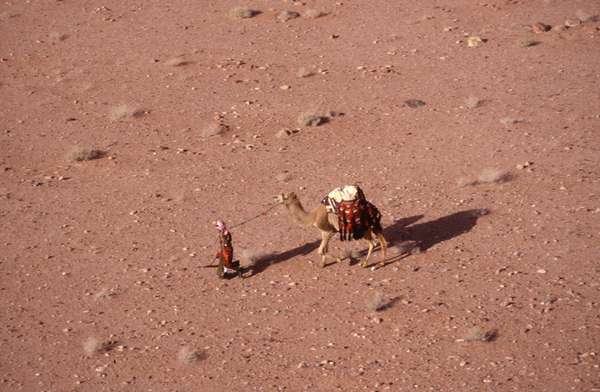 photo of Jordan, Wadi Rum desert, camel and desert police on the red sand and rocks