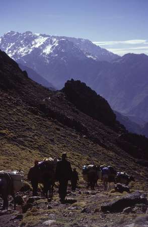 photo of Morocco, high Atlas, around Toubkal, donkeys and mountain view