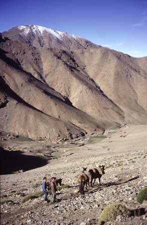 photo of Morocco, high Atlas, around Toubkal, donkeys and mountain view