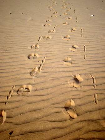 photo of Mauritania, desert around Chinguetti, steps of a man and a camel in the sand