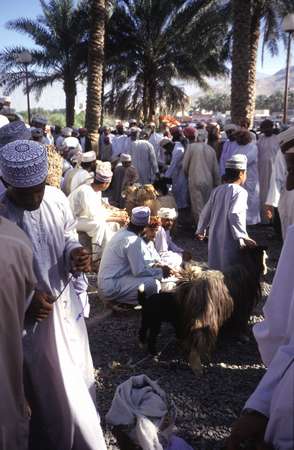 photo of Oman, Cattle and Animal market in Nizwa, Omanis selling goats