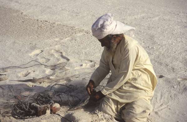 photo of Middle Eastern Oman, bedouin fisherman digging up his catch of fish which he has buried in the sand next to the sea in order to conserve