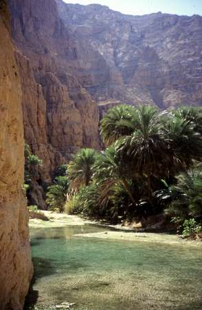 photo of Oman, along the road from Quriyat to Sur, Wadi Tiwi (wadi Shab), canyon oasis with date palm trees, in the background the connection to Wadi Bani Khalid