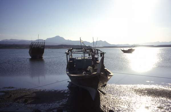 photo of Oman, Sur, wooden dhows, traditional Omani fishing boats, in a sea lagoon