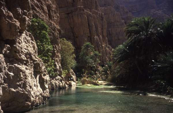 photo of Oman, along the road from Quriyat to Sur, Wadi Tiwi (wadi Shab), canyon oasis with date palm trees, in the background the connection to Wadi Bani Khalid