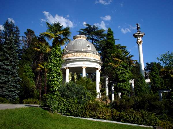 photo of Russia, Arboretum, the Subtropical Botanical Garden of Sochi, with over 1500 species Italian stone-pine and mammoth-tree from California, Australian myall and Japanese orchids, Chinese wood flowers and veronicas from New Zealand