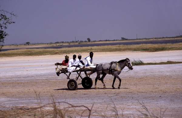 photo of Senegal, around Kaolack, Senegalese family on horse carriage in the salt flats (salines) along the Sine Saloum delta