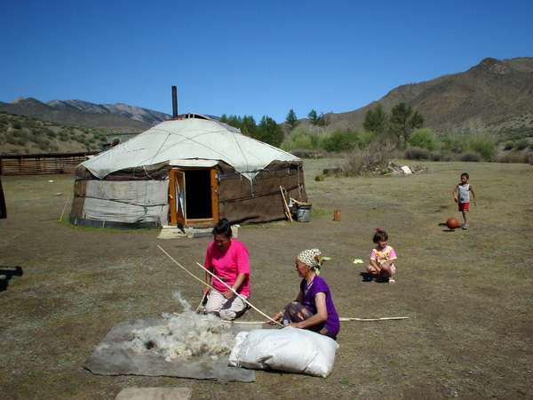 photo of Tuva, south of Kyzyl, around Erzin, around Moren, Tuvan woman beating sheep wool outside her yurt (ger, nomadic tent)