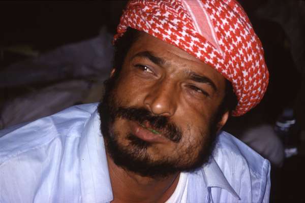 photo of Yemen, Yemeni bedouin man chewing qat (khat, kat). Fresh leaves of the catha edulis, a large shrub, are a stimulant similar to d-amphetamine. Khat is very popular among Yemeni and was used in Yemen even before coffee, producing a feeling of exaltation and a feeling of being liberated from space and time, Yemen, Yemeni, Sanaa, Jemen, Arabian Peninsula, Middle East, Yemen, travel tourism photography Yemen photos photo Yemen pictures picture Yemen images image Yemen fotos foto foto's Yemen fotografie Reisebilder Yemen Fotografia reisfotografie reizen