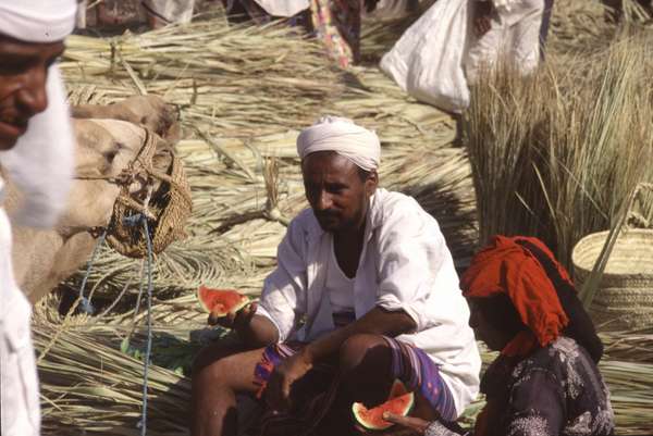 photo of Yemen, Red Sea coast, vendor at Bait (Beit) al Faqih market, the largest souq in Yemen. This traditional friday market started in the 1700s, when Bayt al-Faqih was a coffee trading post and now has over 1000 traders