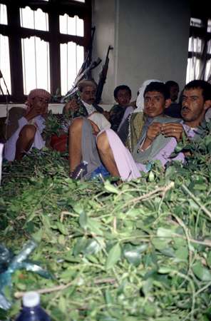 photo of Yemen, highland village, huge amounts of Qat (khat) leaves (and Kalashnikovs in the background ...) on a wedding afternoon. Amounts were so exaggerated for the marriage celebration that everybody (me included) got a whole bush to chew