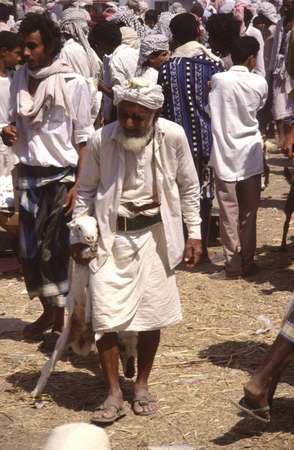 photo of Yemen, Red Sea coast, old man with goat on Bait (Beit, Bayt) al Faqih friday market, the largest souq in Yemen