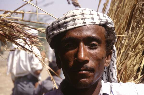 photo of Yemen, Red Sea coast, vendor at Bait (Beit, Bayt) al Faqih market, the largest souq in Yemen