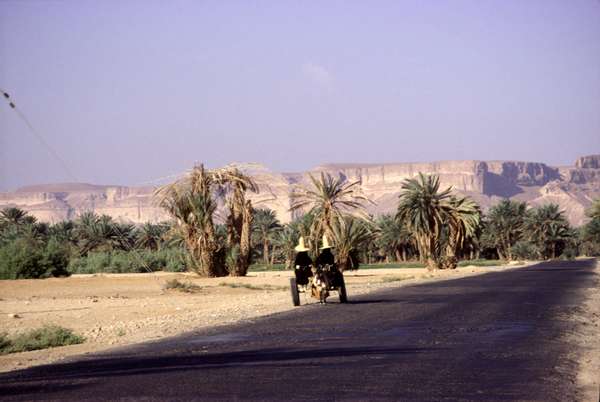 photo of Yemen, Wadi Hadramaut oasis, women with high straw hats on a donkey carriage