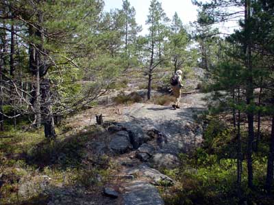 zweden stockholm tyresta natuurpark wandelen over rotsen in het bos
