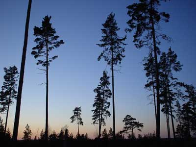 zweden stockholm bornsjo natuurreservaat