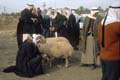 israel-palestine-wrw207