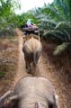 thailand-img_1097